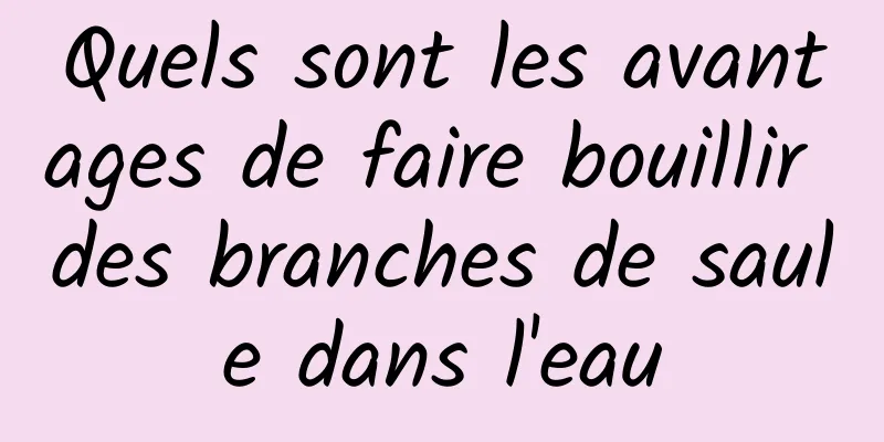 Quels sont les avantages de faire bouillir des branches de saule dans l'eau