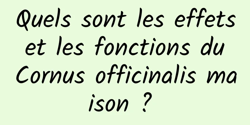 Quels sont les effets et les fonctions du Cornus officinalis maison ? 