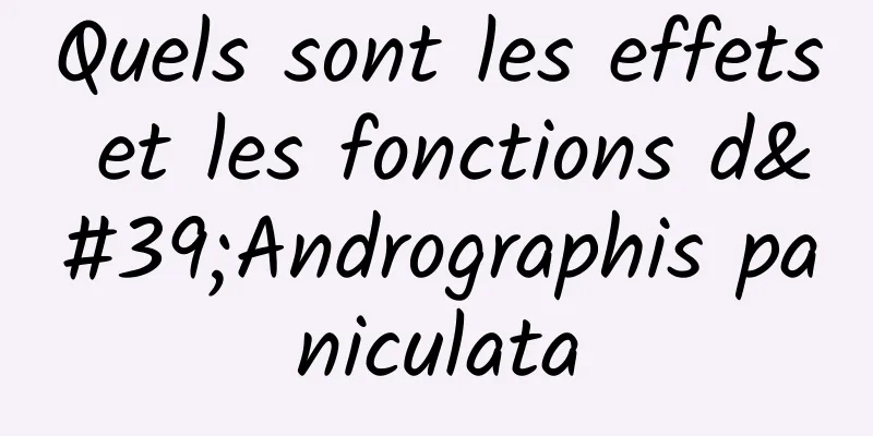 Quels sont les effets et les fonctions d'Andrographis paniculata