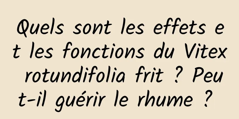 Quels sont les effets et les fonctions du Vitex rotundifolia frit ? Peut-il guérir le rhume ? 