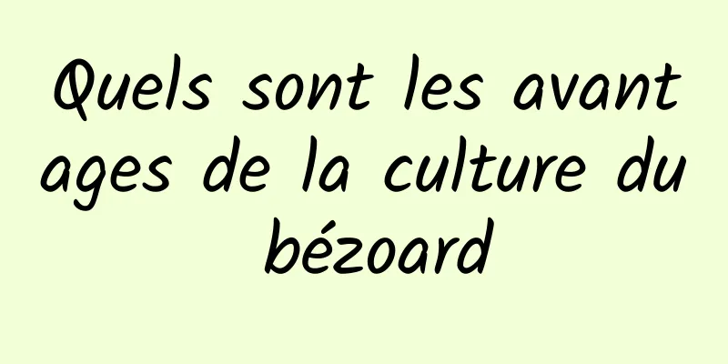 Quels sont les avantages de la culture du bézoard