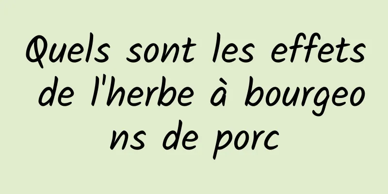 Quels sont les effets de l'herbe à bourgeons de porc