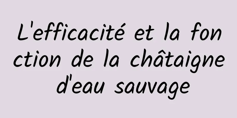 L'efficacité et la fonction de la châtaigne d'eau sauvage