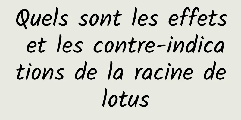 Quels sont les effets et les contre-indications de la racine de lotus