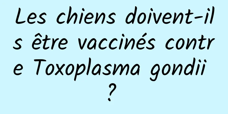 Les chiens doivent-ils être vaccinés contre Toxoplasma gondii ? 