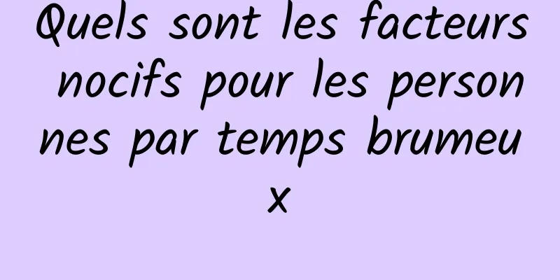 Quels sont les facteurs nocifs pour les personnes par temps brumeux