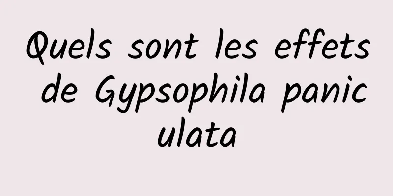 Quels sont les effets de Gypsophila paniculata