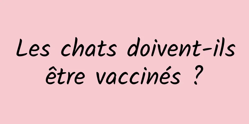 Les chats doivent-ils être vaccinés ? 