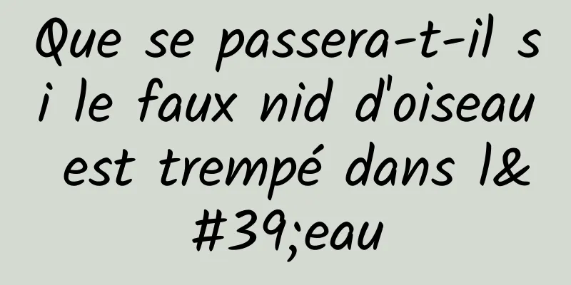 Que se passera-t-il si le faux nid d'oiseau est trempé dans l'eau