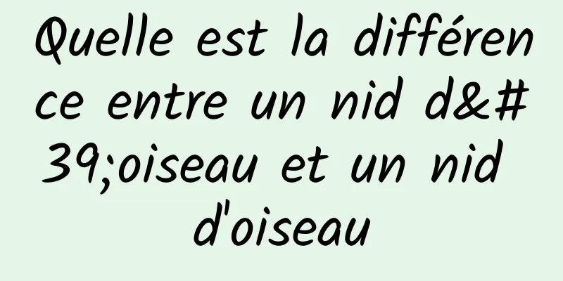 Quelle est la différence entre un nid d'oiseau et un nid d'oiseau