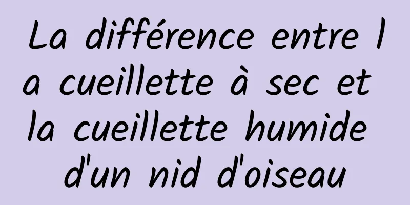 La différence entre la cueillette à sec et la cueillette humide d'un nid d'oiseau