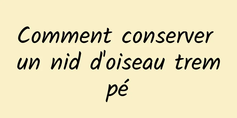 Comment conserver un nid d'oiseau trempé