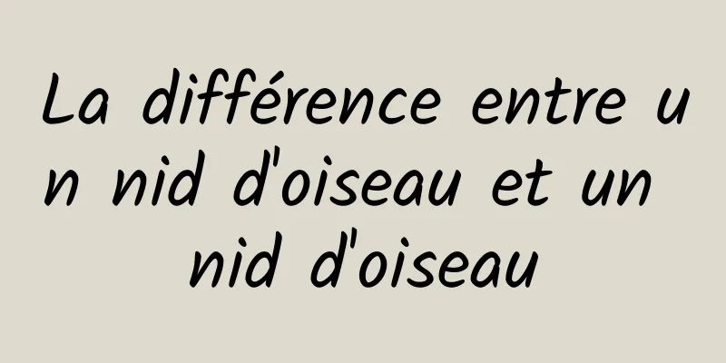 La différence entre un nid d'oiseau et un nid d'oiseau