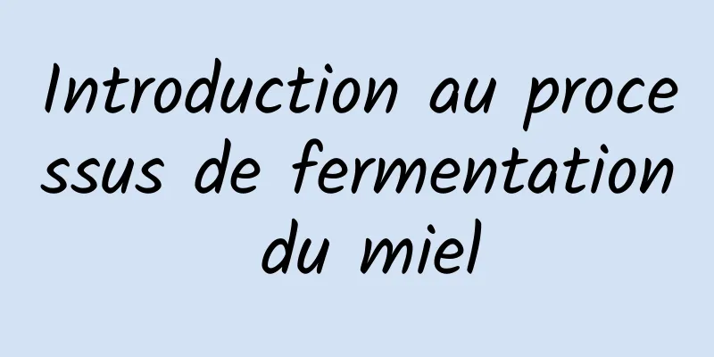 Introduction au processus de fermentation du miel