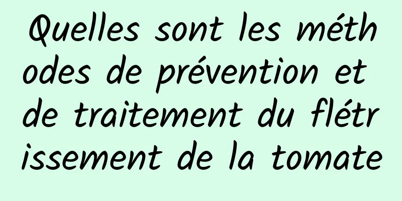 Quelles sont les méthodes de prévention et de traitement du flétrissement de la tomate