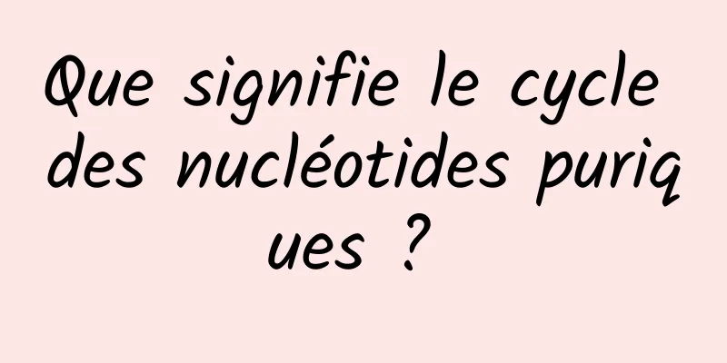 Que signifie le cycle des nucléotides puriques ? 