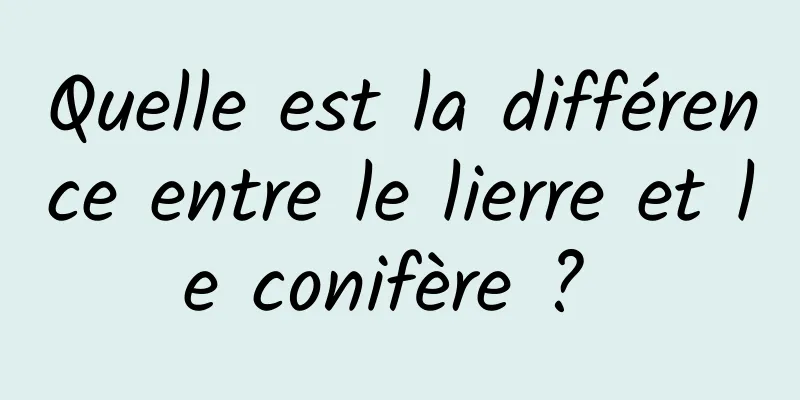 Quelle est la différence entre le lierre et le conifère ? 