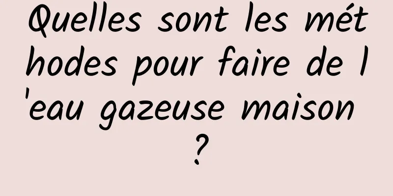 Quelles sont les méthodes pour faire de l'eau gazeuse maison ?