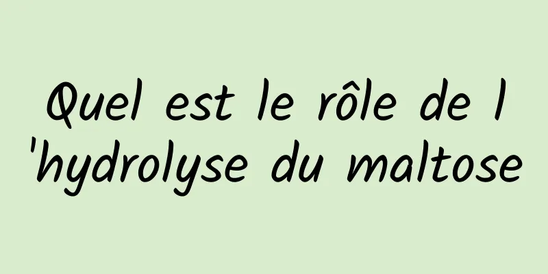 Quel est le rôle de l'hydrolyse du maltose