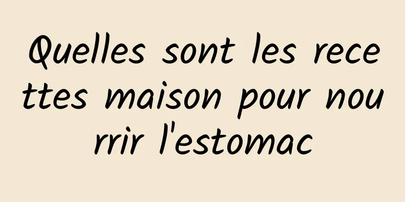 Quelles sont les recettes maison pour nourrir l'estomac