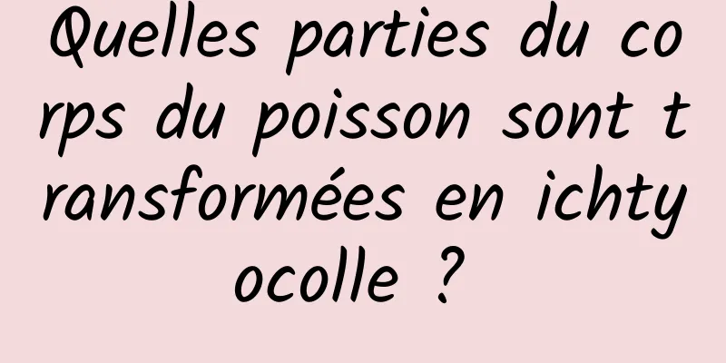 Quelles parties du corps du poisson sont transformées en ichtyocolle ? 