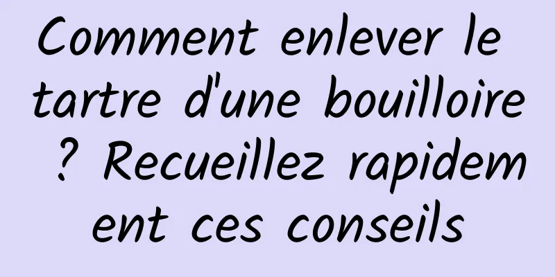 Comment enlever le tartre d'une bouilloire ? Recueillez rapidement ces conseils