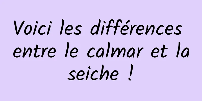 Voici les différences entre le calmar et la seiche ! 