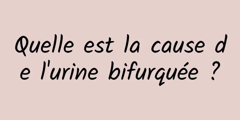 Quelle est la cause de l'urine bifurquée ?