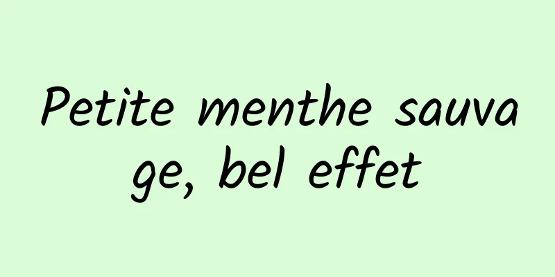 Petite menthe sauvage, bel effet