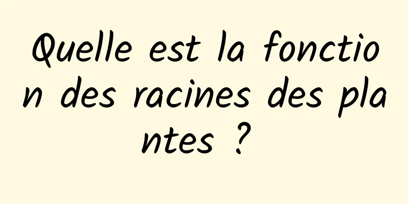 Quelle est la fonction des racines des plantes ? 