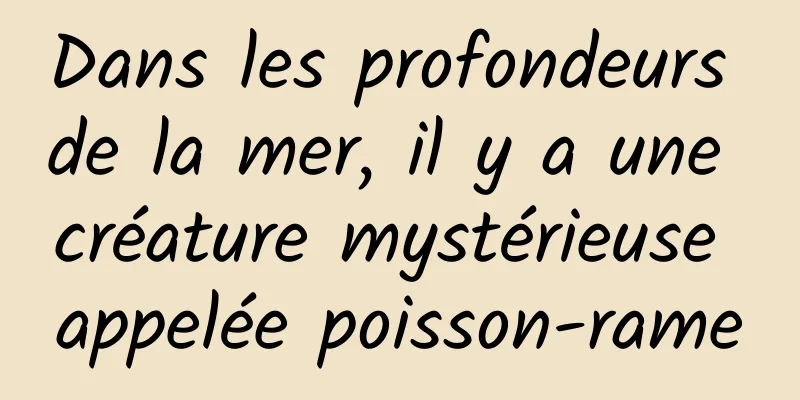 Dans les profondeurs de la mer, il y a une créature mystérieuse appelée poisson-rame