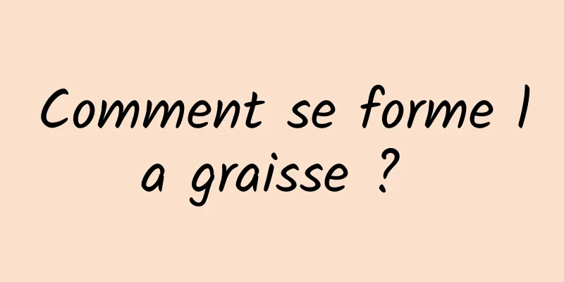 Comment se forme la graisse ? 