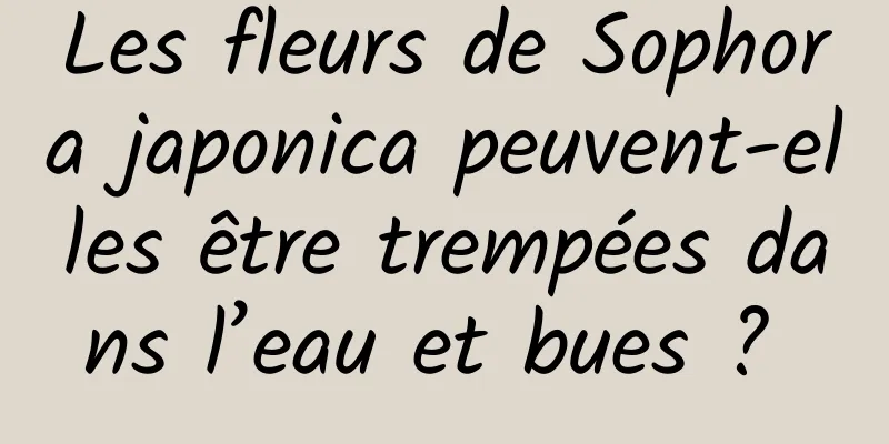 Les fleurs de Sophora japonica peuvent-elles être trempées dans l’eau et bues ? 