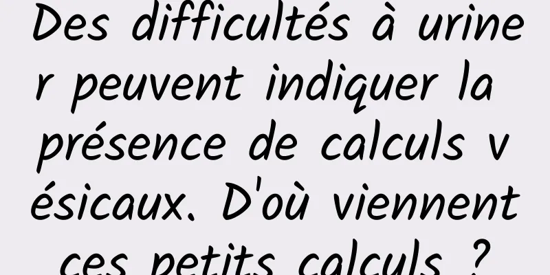 Des difficultés à uriner peuvent indiquer la présence de calculs vésicaux. D'où viennent ces petits calculs ? 