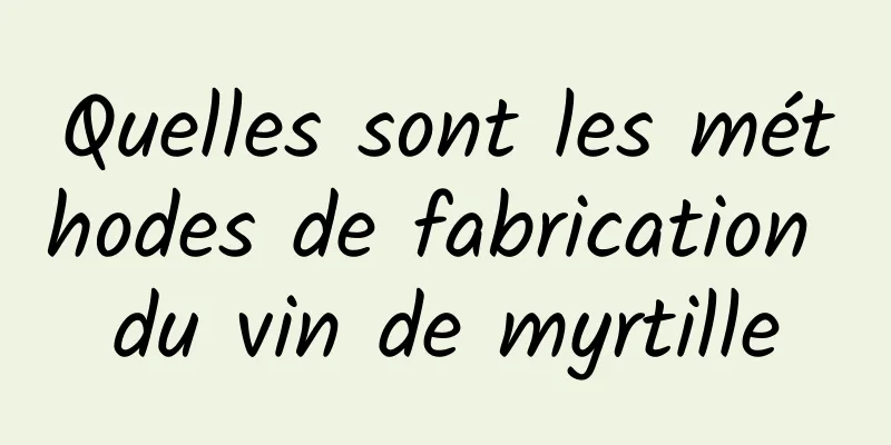 Quelles sont les méthodes de fabrication du vin de myrtille