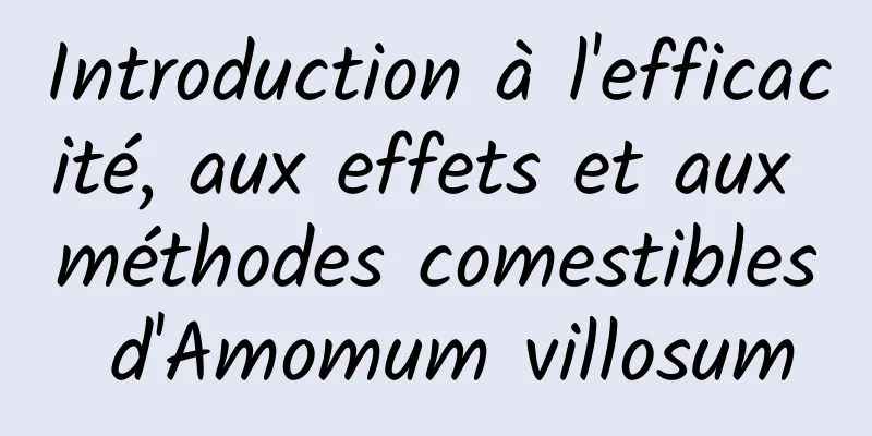 Introduction à l'efficacité, aux effets et aux méthodes comestibles d'Amomum villosum