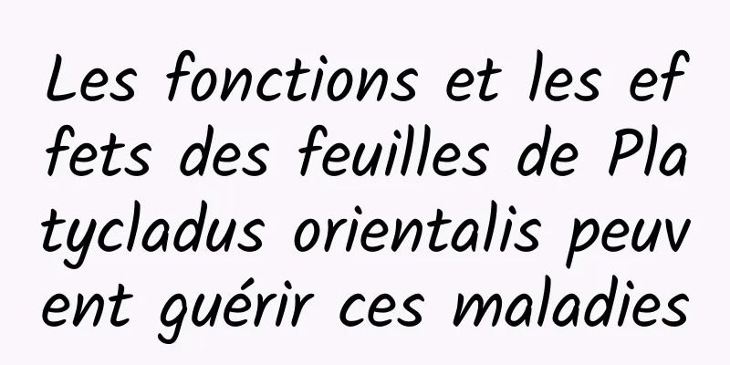 Les fonctions et les effets des feuilles de Platycladus orientalis peuvent guérir ces maladies