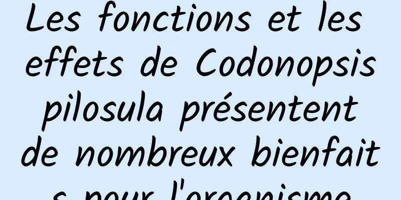 Les fonctions et les effets de Codonopsis pilosula présentent de nombreux bienfaits pour l'organisme