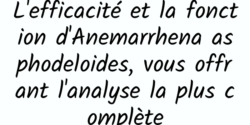 L'efficacité et la fonction d'Anemarrhena asphodeloides, vous offrant l'analyse la plus complète