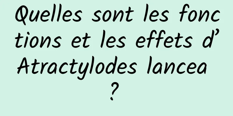 Quelles sont les fonctions et les effets d’Atractylodes lancea ? 