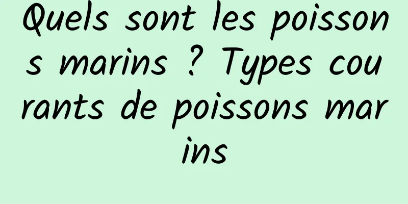 Quels sont les poissons marins ? Types courants de poissons marins