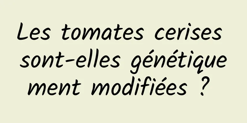 Les tomates cerises sont-elles génétiquement modifiées ? 