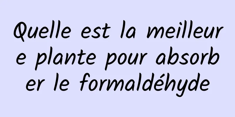 Quelle est la meilleure plante pour absorber le formaldéhyde