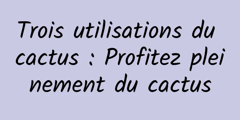 Trois utilisations du cactus : Profitez pleinement du cactus