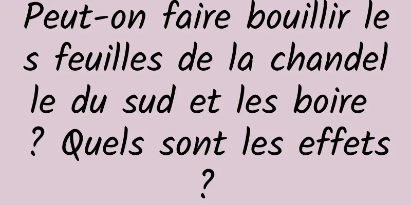 Peut-on faire bouillir les feuilles de la chandelle du sud et les boire ? Quels sont les effets ? 