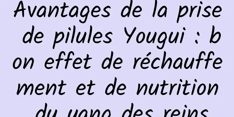 Avantages de la prise de pilules Yougui : bon effet de réchauffement et de nutrition du yang des reins