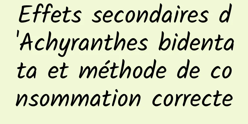 Effets secondaires d'Achyranthes bidentata et méthode de consommation correcte