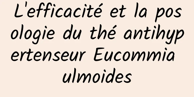 L'efficacité et la posologie du thé antihypertenseur Eucommia ulmoides