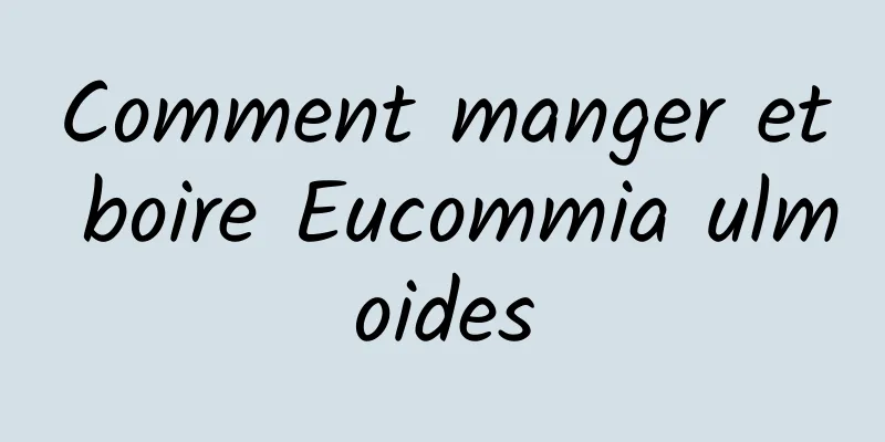 Comment manger et boire Eucommia ulmoides