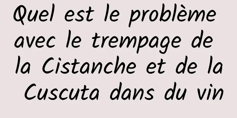 Quel est le problème avec le trempage de la Cistanche et de la Cuscuta dans du vin